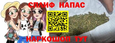 молекула духа Ярославль